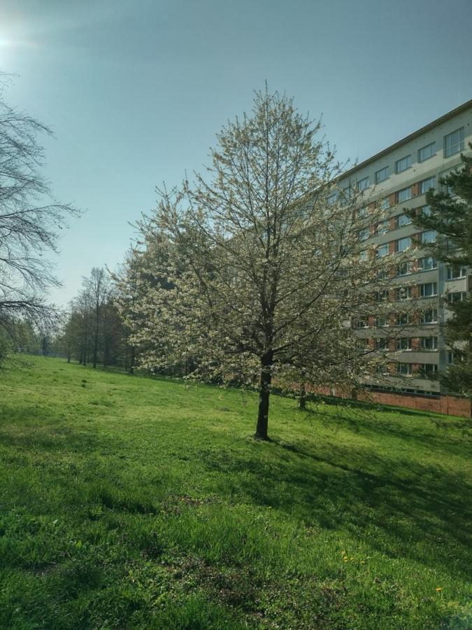 Flat Lesna Brno Διαμέρισμα Εξωτερικό φωτογραφία